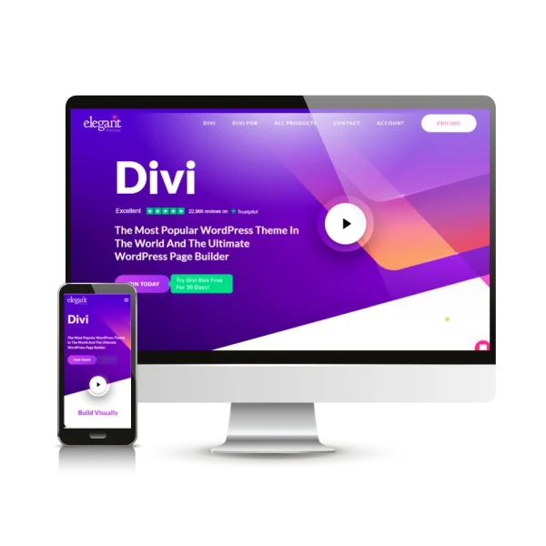 Divi Theme - Elegant Themes