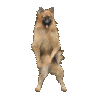 Pack de Mascotes Dançantes - Imagem 8