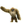 Pack de Mascotes Dançantes - Imagem 9