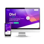 Divi Theme - Elegant Themes